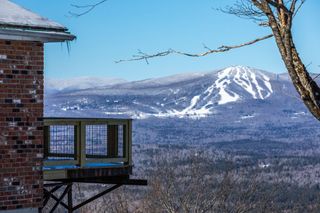 57 Pearl Buck Drive # 33, Winhall, VT 05340