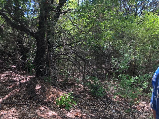 1408 Robyn Road, Azle, TX 76020