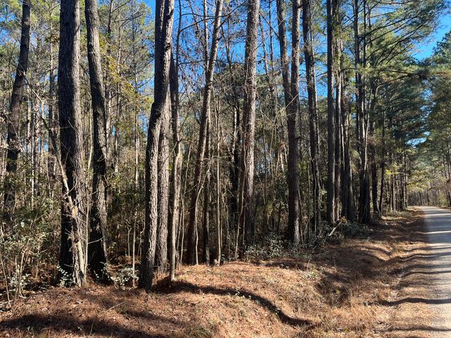 0 Brittlebank Road, Walterboro, SC 29488