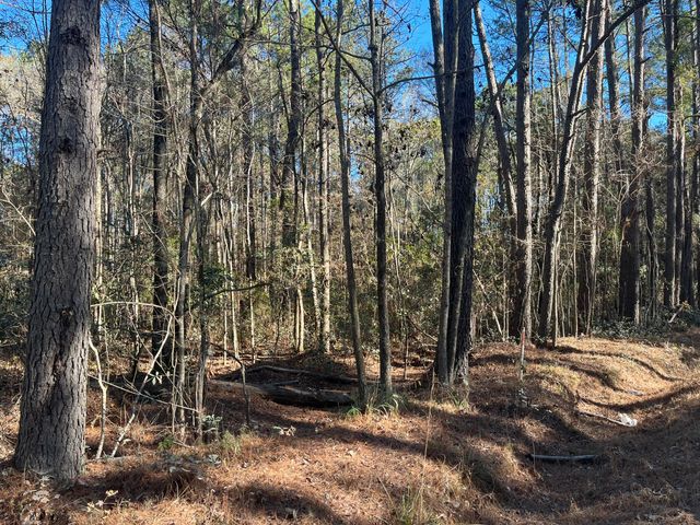 0 Brittlebank Road, Walterboro, SC 29488