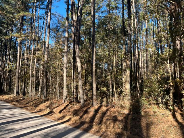 0 Brittlebank Road, Walterboro, SC 29488
