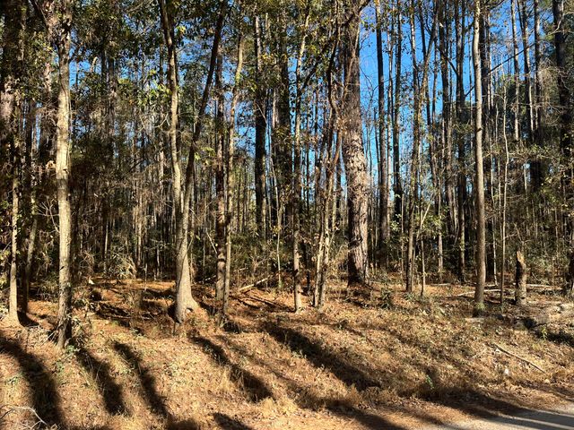 0 Brittlebank Road, Walterboro, SC 29488