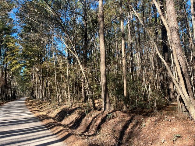 0 Brittlebank Road, Walterboro, SC 29488