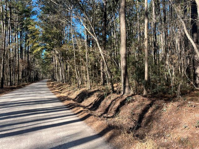 0 Brittlebank Road, Walterboro, SC 29488