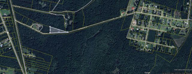 0 Brittlebank Road, Walterboro, SC 29488