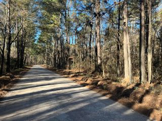 0 Brittlebank Road, Walterboro, SC 29488