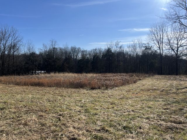 0 Nails Creek Road, Dickson, TN 37055