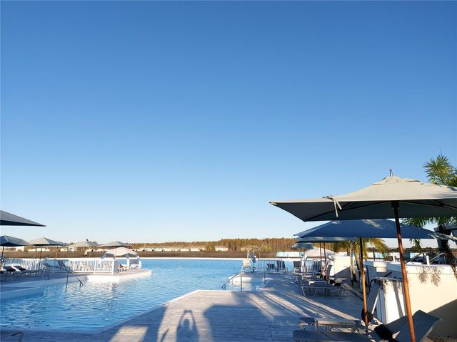 30959 PENNY SURF LOOP, Wesley Chapel, FL 33545