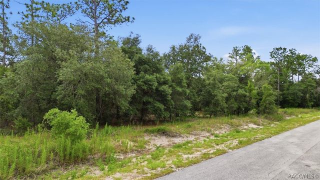 0000 SW Sands Point Avenue, Dunnellon, FL 34431