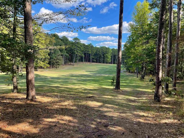 Lot 125 Tannenbaum Rd., Drasco, AR 72530