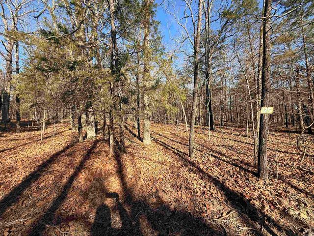 Lot 125 Tannenbaum Rd., Drasco, AR 72530