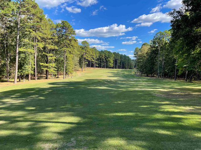 Lot 125 Tannenbaum Rd., Drasco, AR 72530