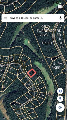 Lot 125 Tannenbaum Rd., Drasco, AR 72530
