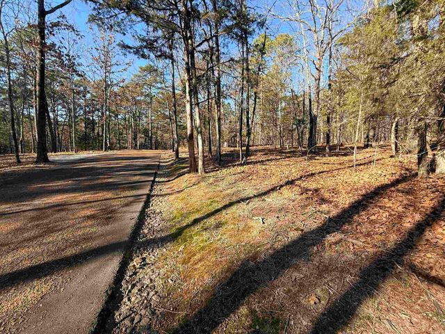 Lot 125 Tannenbaum Rd., Drasco, AR 72530