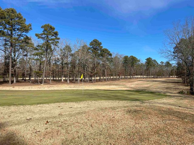 Lot 125 Tannenbaum Rd., Drasco, AR 72530