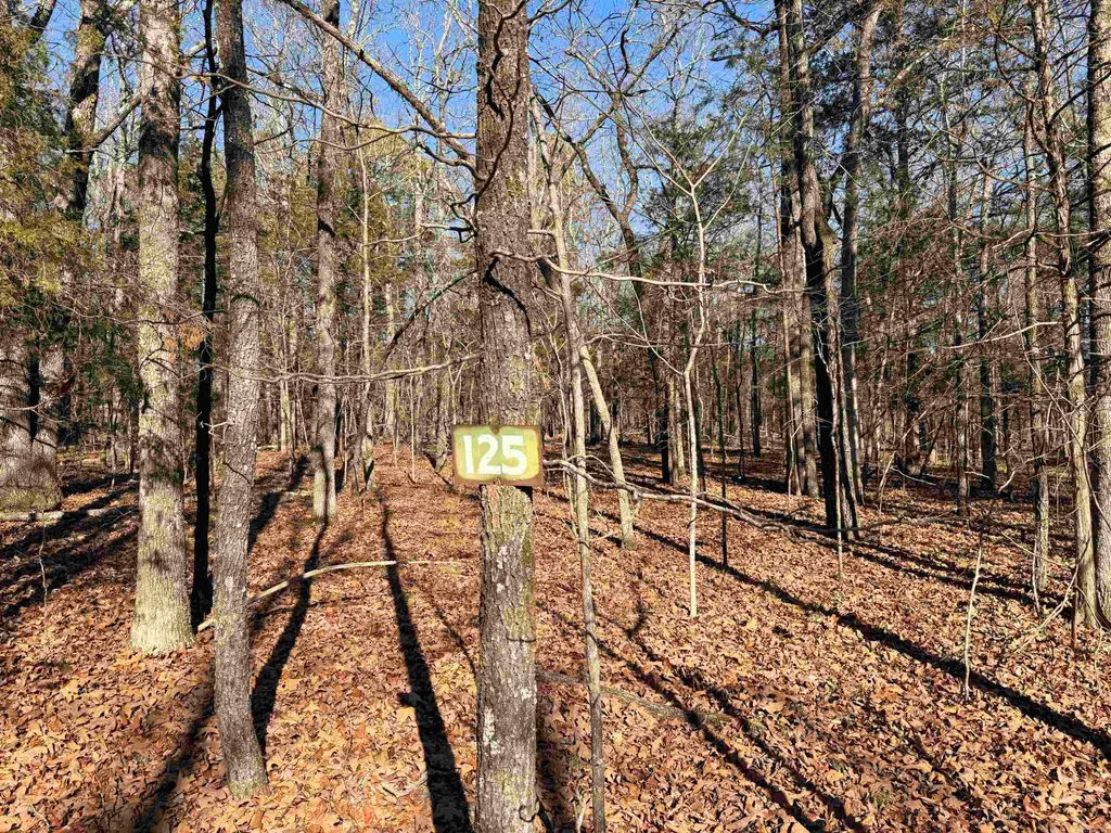 Lot 125 Tannenbaum Rd., Drasco, AR 72530