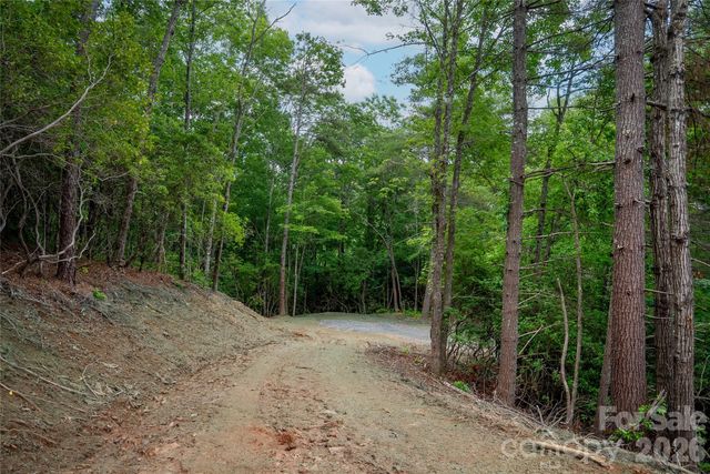 TBD Cherryfield Loop Road, Brevard, NC 28712