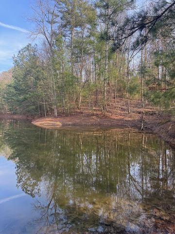 208 Lake Forest Drive, Ellijay, GA 30540