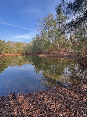 208 Lake Forest Drive, Ellijay, GA 30540