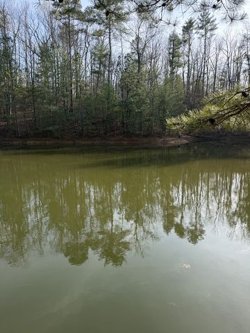 208 Lake Forest Drive, Ellijay, GA 30540