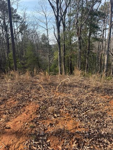 208 Lake Forest Drive, Ellijay, GA 30540