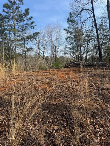 208 Lake Forest Drive, Ellijay, GA 30540