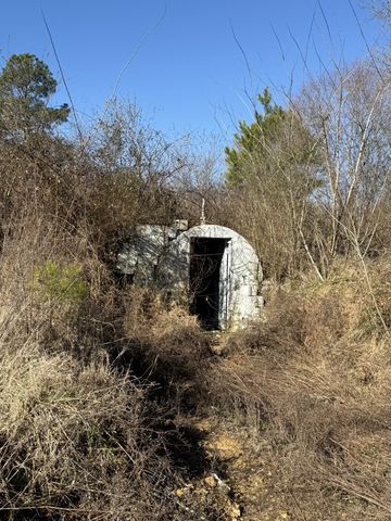 584 Rabbit Trail Rd, SE, Leoma, TN 38468