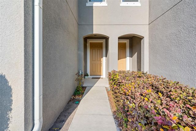 14124 DAMSELFLY DRIVE, Tampa, FL 33625