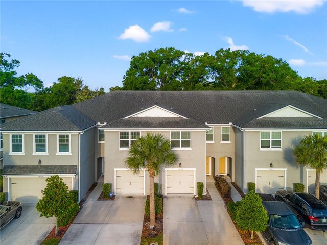 14124 DAMSELFLY DRIVE, Tampa, FL 33625