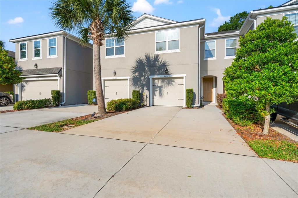 14124 DAMSELFLY DRIVE, Tampa, FL 33625
