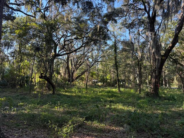 404 Tanner Trail, Charleston, SC 29412