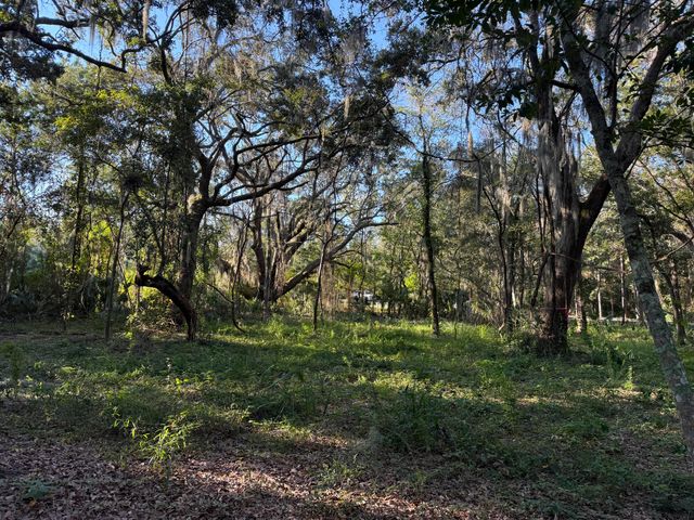 404 Tanner Trail, Charleston, SC 29412