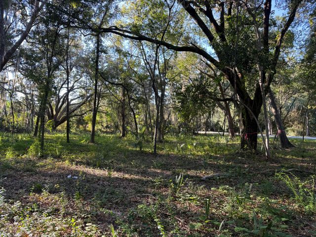 404 Tanner Trail, Charleston, SC 29412