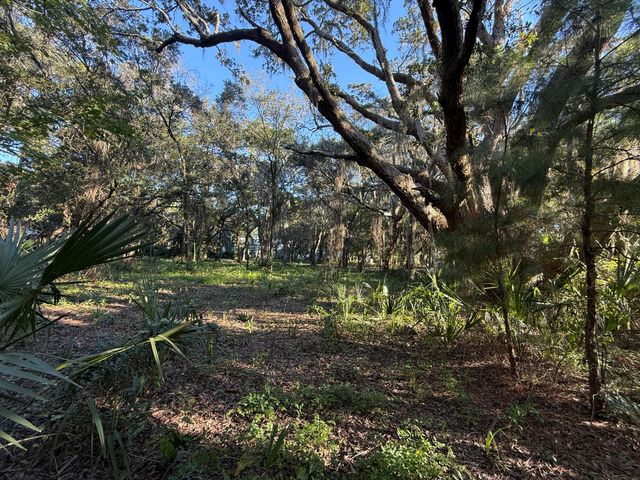 404 Tanner Trail, Charleston, SC 29412