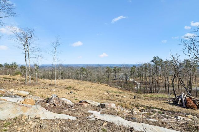 230 Duckwood Lane, Evensville, TN 37332