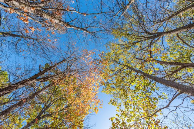 30205 190th Lane, Lakeside Twp, MN 56342