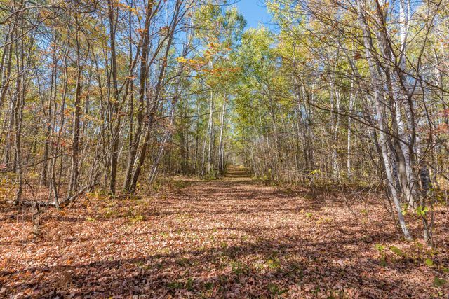 30205 190th Lane, Lakeside Twp, MN 56342