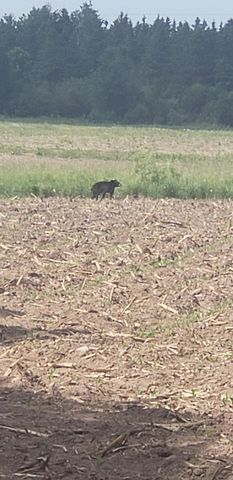 30205 190th Lane, Lakeside Twp, MN 56342