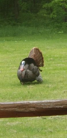 30205 190th Lane, Lakeside Twp, MN 56342