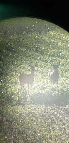 30205 190th Lane, Lakeside Twp, MN 56342