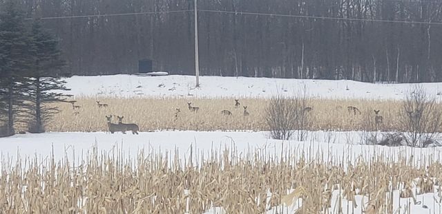 30205 190th Lane, Lakeside Twp, MN 56342