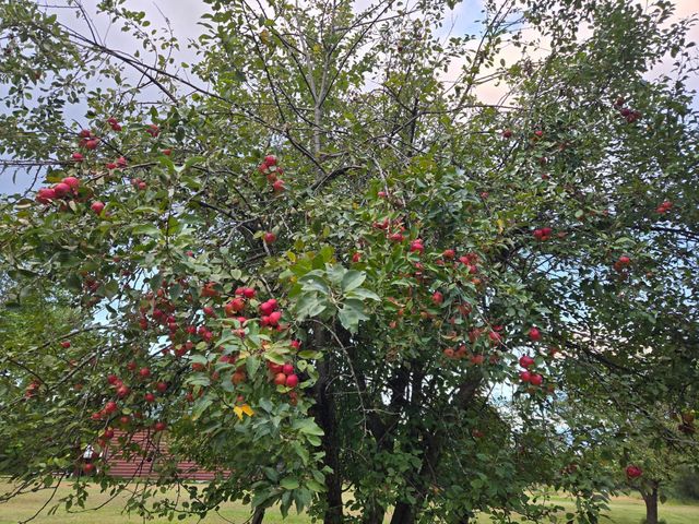 30205 190th Lane, Lakeside Twp, MN 56342