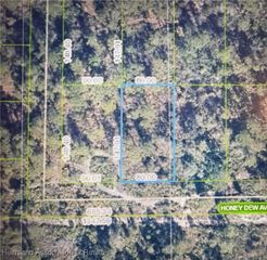 2336 Honey Dew Avenue, Sebring, FL 33875