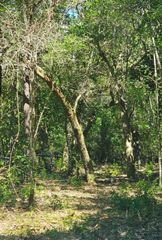 Lots 1 & 2 Gum Street, Freeport, FL 32439