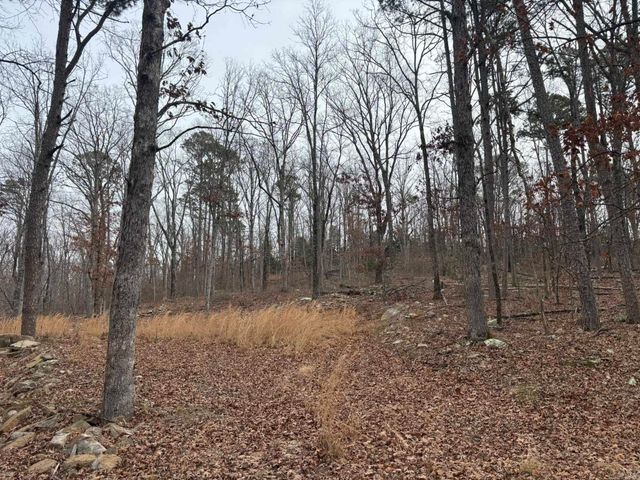 000 Edge Road, Clinton, AR 72031