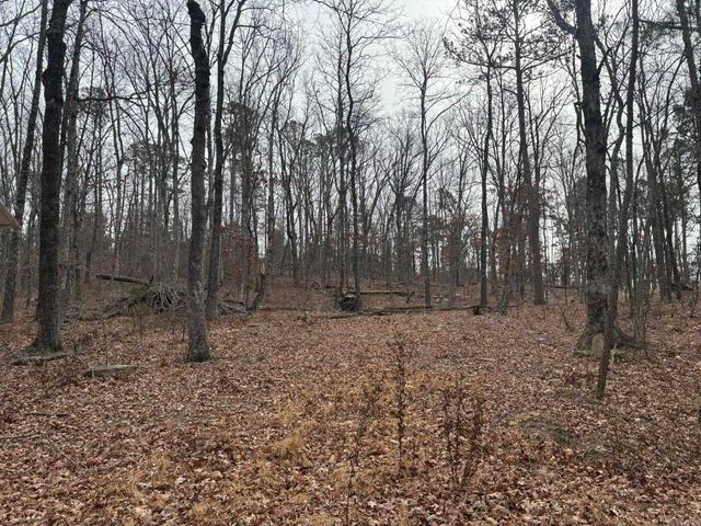 000 Edge Road, Clinton, AR 72031