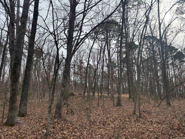 000 Edge Road, Clinton, AR 72031