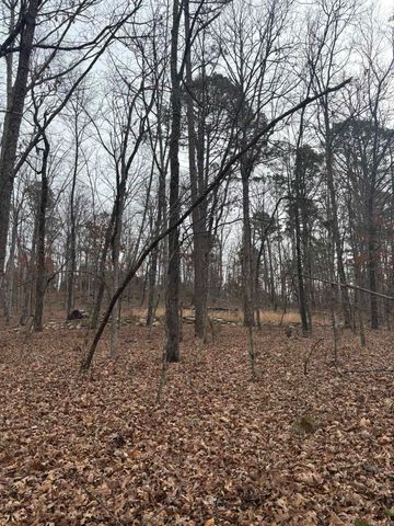 000 Edge Road, Clinton, AR 72031