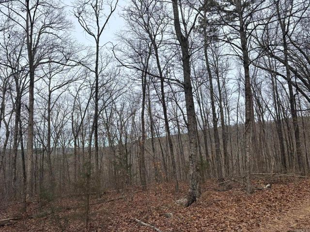 000 Edge Road, Clinton, AR 72031