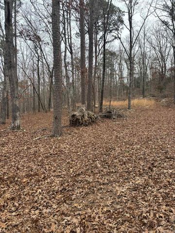 000 Edge Road, Clinton, AR 72031
